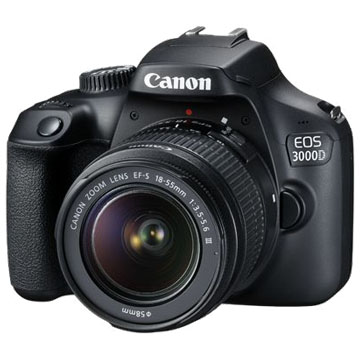 entry level canon camera